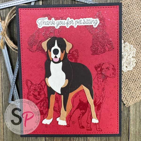 Honey Bee's Pet-Tastic Collection