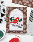 Catherine Pooler Designs - Clear Stamps - Birds & Boughs-ScrapbookPal