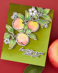 Hero Arts - I Pick You Collection - Stamp & Cut - Apple Branch-ScrapbookPal