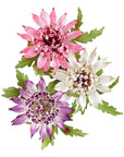 Spellbinders - Serenity Garden Collection - Dies - Astrantia-ScrapbookPal