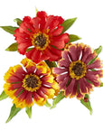Spellbinders - The Cottage Garden Collection - Dies - Helenium and Ladybugs-ScrapbookPal