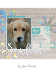 iCraft - Deco Foil Transfer Sheets 6x12 - Iridescent-ScrapbookPal