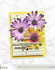 Altenew - 3D Embossing Folder & Dies - Lush Botanicals: African Daisy-ScrapbookPal