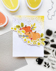 Catherine Pooler Designs - Clear Stamps - Flavors of Fall-ScrapbookPal
