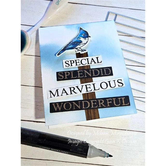 Gina K. Designs - Clear Stamps - So Many Words-ScrapbookPal