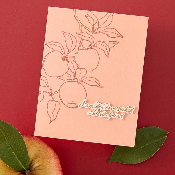 Hero Arts - I Pick You Collection - Stamp &amp; Cut - Apple Branch-ScrapbookPal