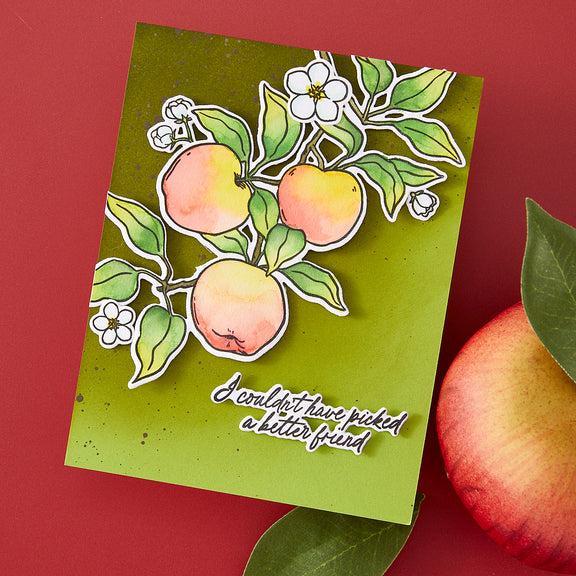 Hero Arts - I Pick You Collection - Stamp &amp; Cut - Apple Branch-ScrapbookPal