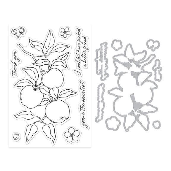 Hero Arts - I Pick You Collection - Stamp &amp; Cut - Apple Branch-ScrapbookPal