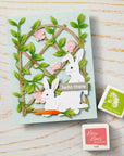 Hero Arts - In The Garden Collection - Fancy Dies - Rabbit Pair-ScrapbookPal