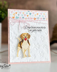 Honey Bee Stamps - 3D Embossing Folder - Paw Prints-ScrapbookPal