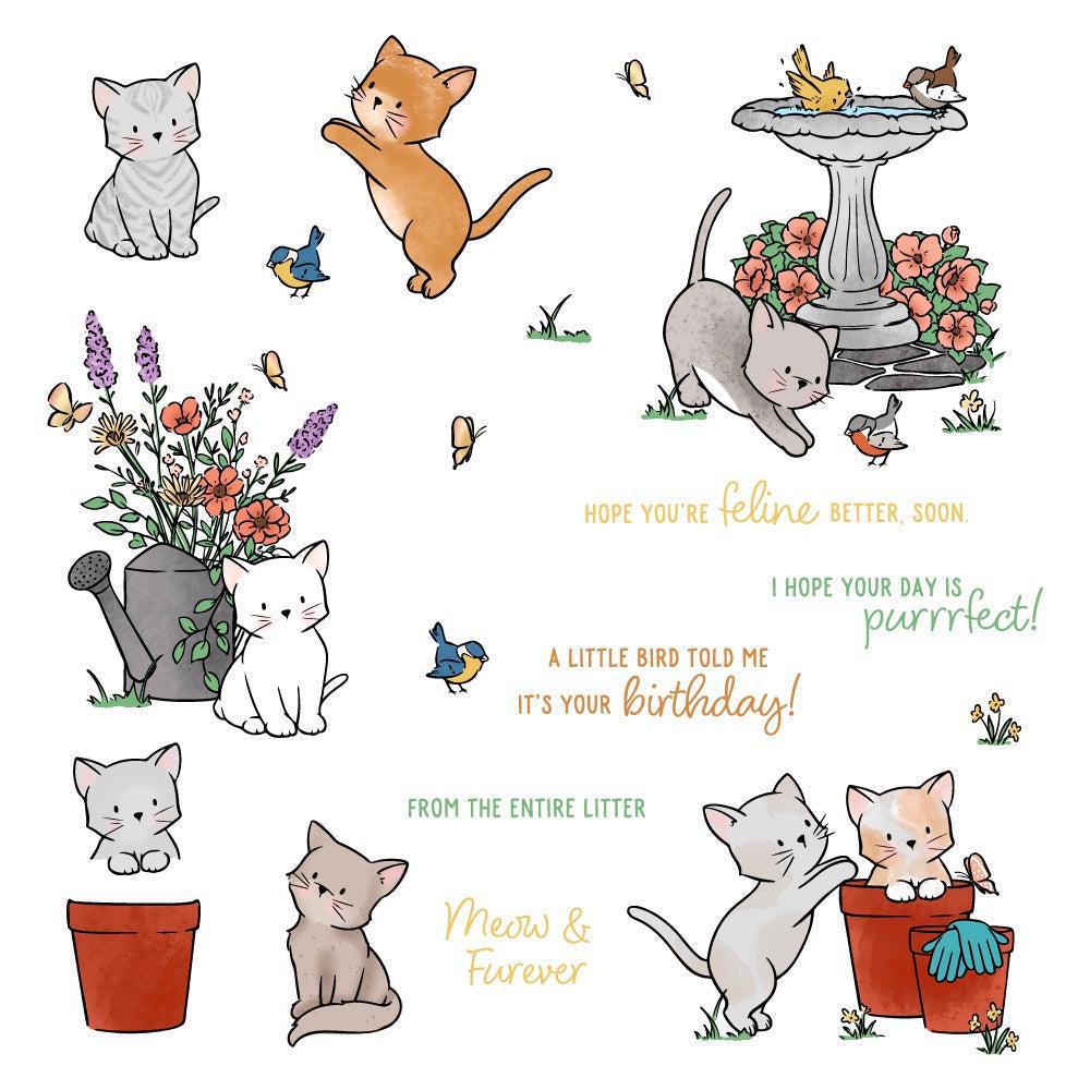 Honey Bee Stamps - Clear Stamps - Meow &amp; Furever-ScrapbookPal