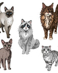 Honey Bee Stamps - Cling Stamps - Paws & Purrs-ScrapbookPal