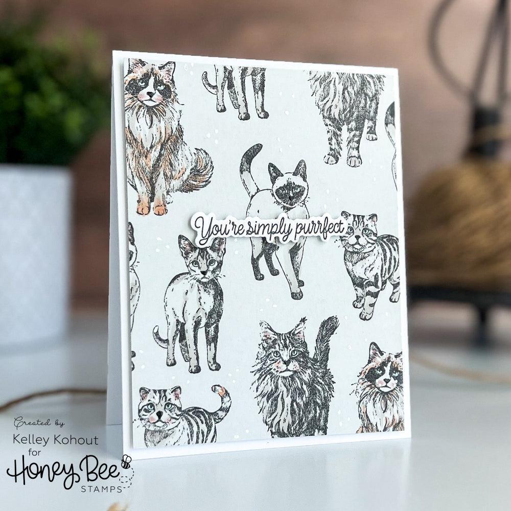 Honey Bee Stamps - Cling Stamps - Paws &amp; Purrs-ScrapbookPal