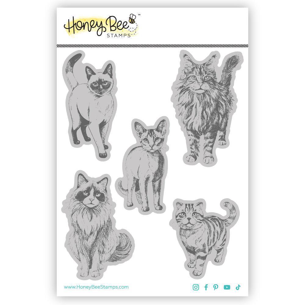 Honey Bee Stamps - Cling Stamps - Paws &amp; Purrs-ScrapbookPal