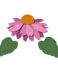 Honey Bee Stamps - Honey Cuts - Lovely Layers: Coneflower-ScrapbookPal