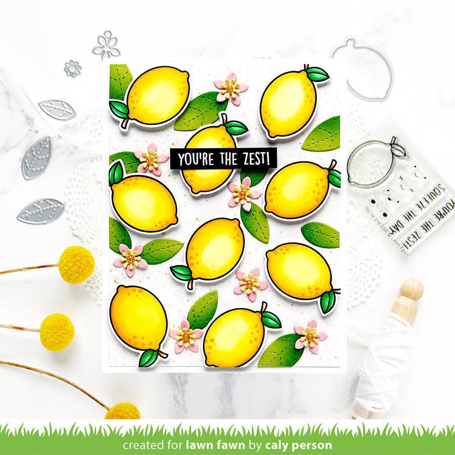 Lawn Fawn - Clear Stamps - You're the Zest-ScrapbookPal