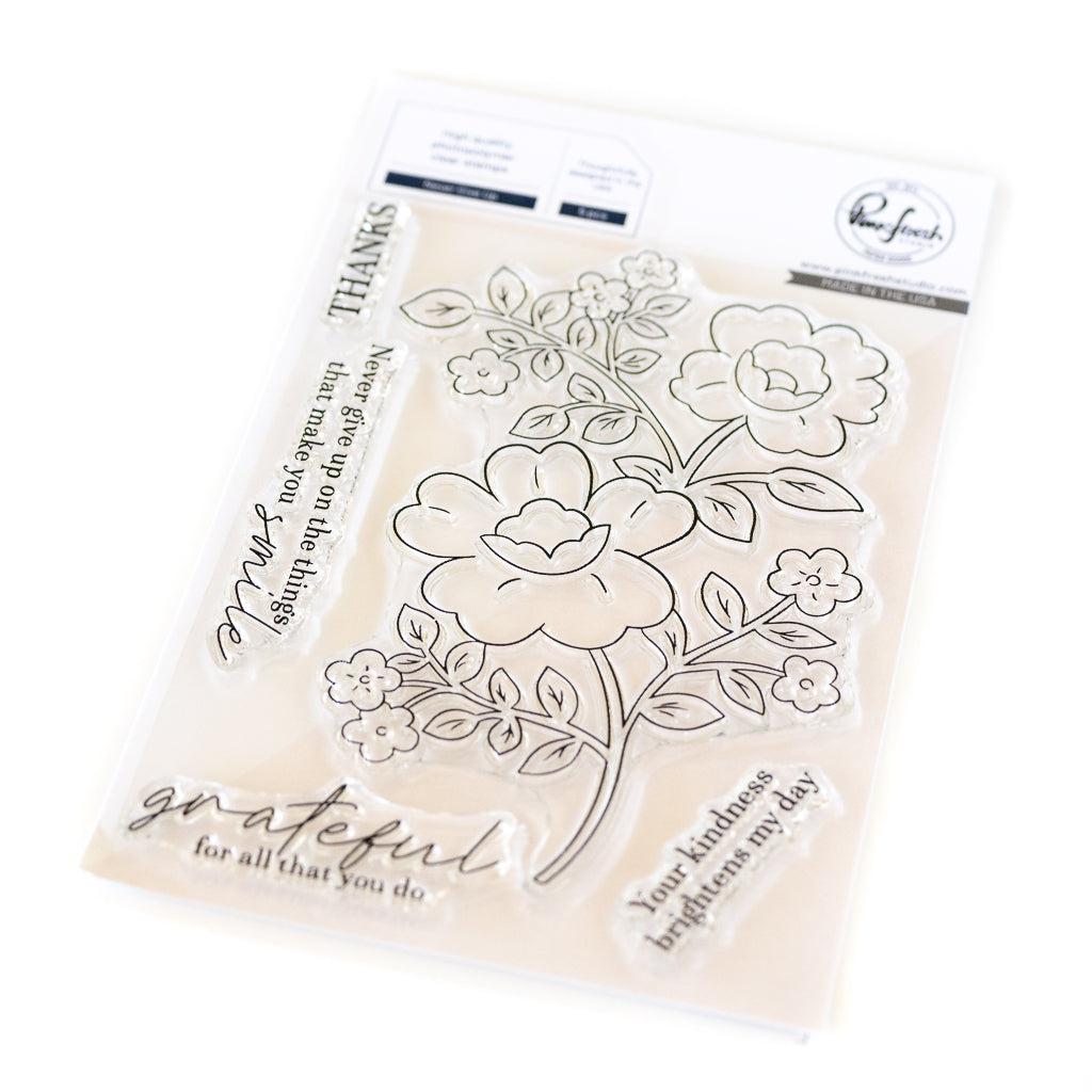 Pinkfresh Studio - Clear Stamps - Never Give Up-ScrapbookPal