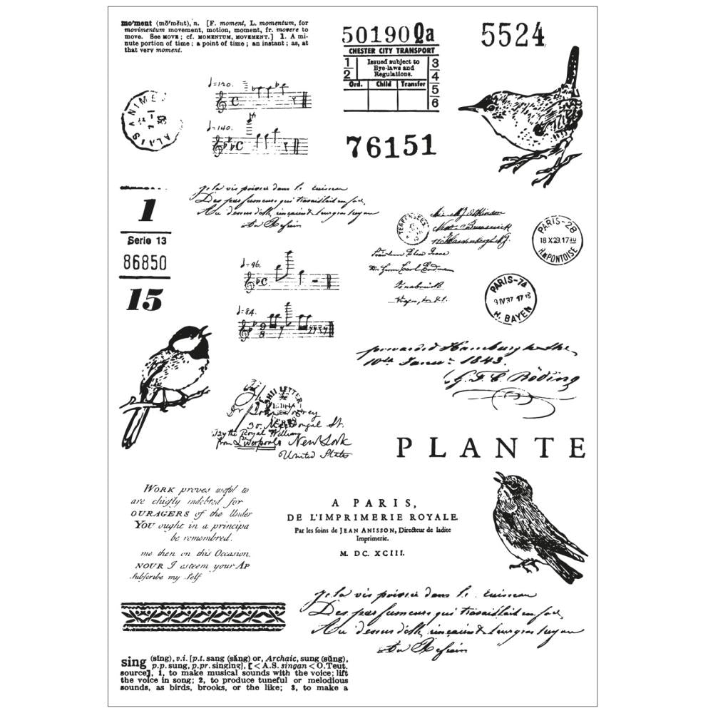 Sizzix - 49 and Market - Clear Stamps &amp; Framelits Dies - Bird Song-ScrapbookPal