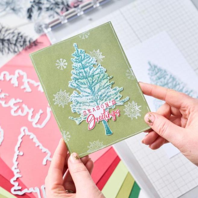 Sizzix - 49 and Market - Clear Stamps &amp; Framelits Dies - Pine Holidays-ScrapbookPal