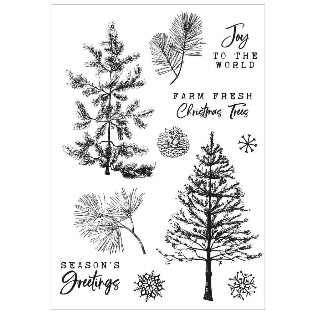 Sizzix - 49 and Market - Clear Stamps &amp; Framelits Dies - Pine Holidays-ScrapbookPal