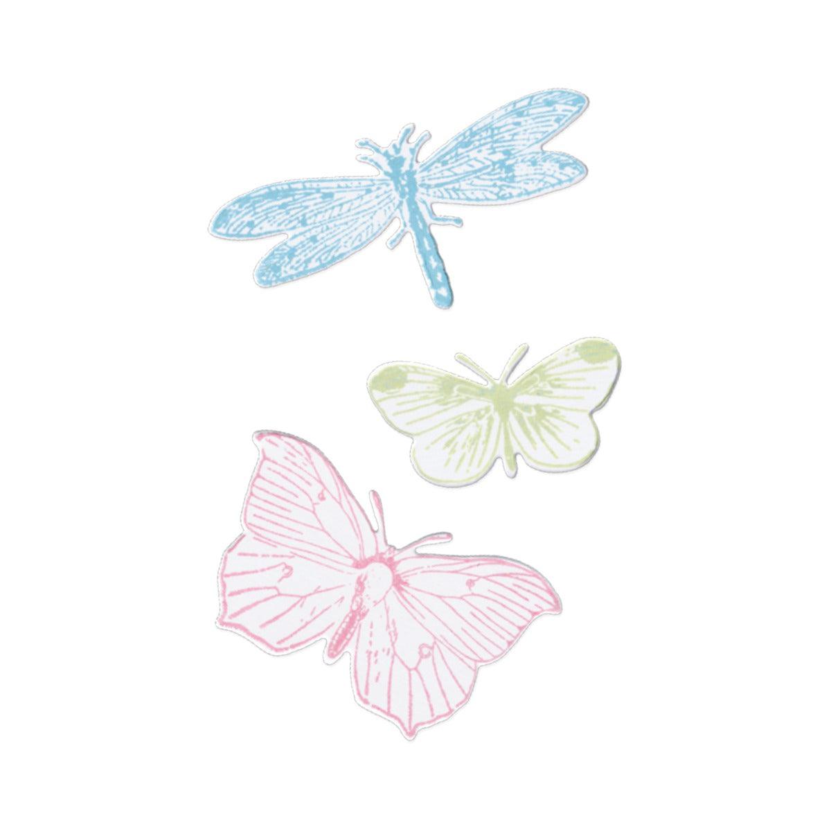 Sizzix - 49 and Market - Framelits Dies w/Stamps - Engraved Wings -ScrapbookPal