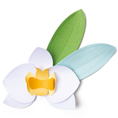 Sizzix - Thinlits Dies - Orchid-ScrapbookPal