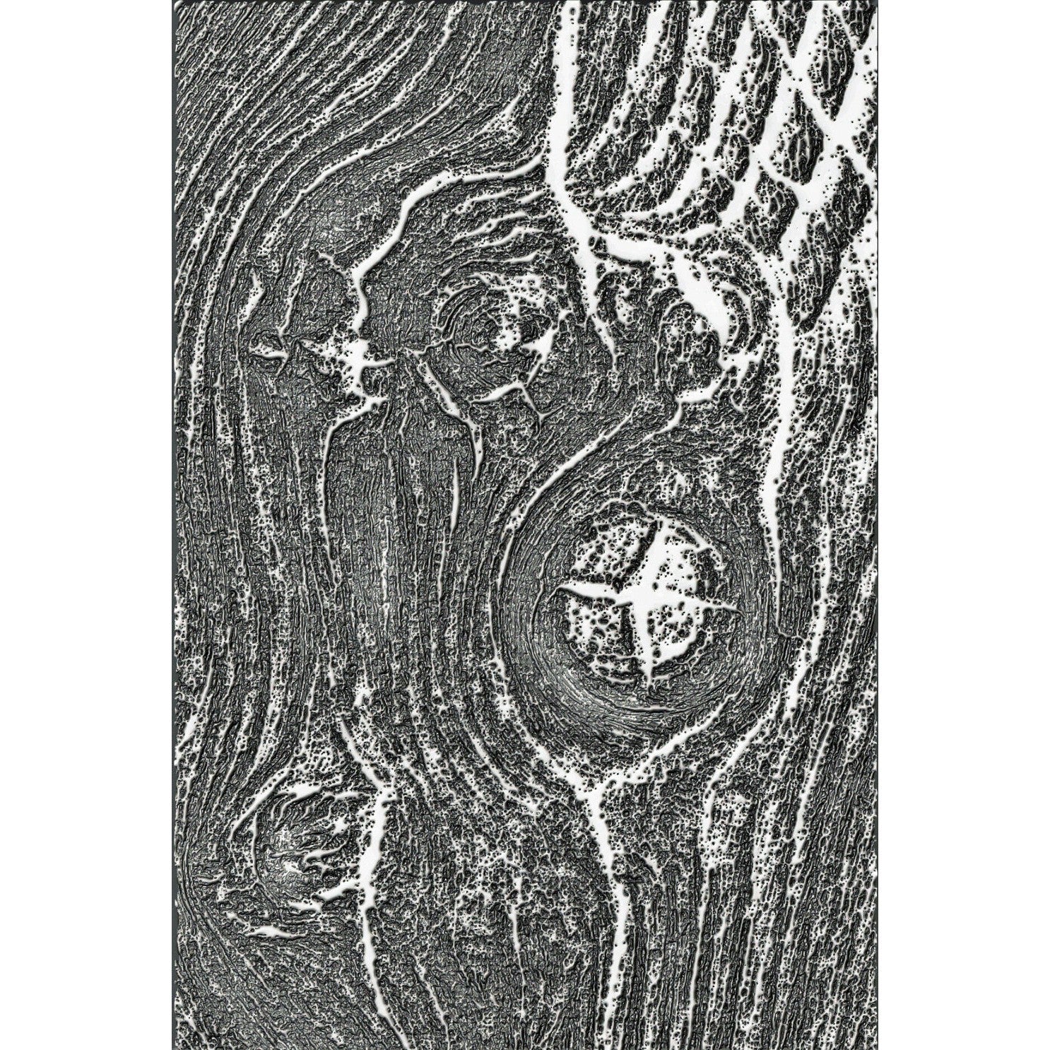 Sizzix - Tim Holtz - 3-D Texture Fades Embossing Folder - Woodgrain-ScrapbookPal