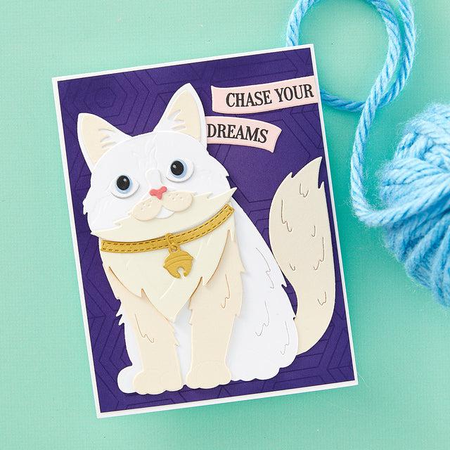 Spellbinders - Bibi's Cats and Pugs Collection - Clear Stamps - Cats and Pugs Sentiments-ScrapbookPal