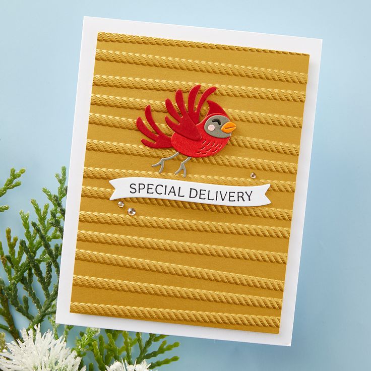 Spellbinders - Dancin' Christmas Friends Collection - 3D Embossing Folder - All Wrapped Up-ScrapbookPal