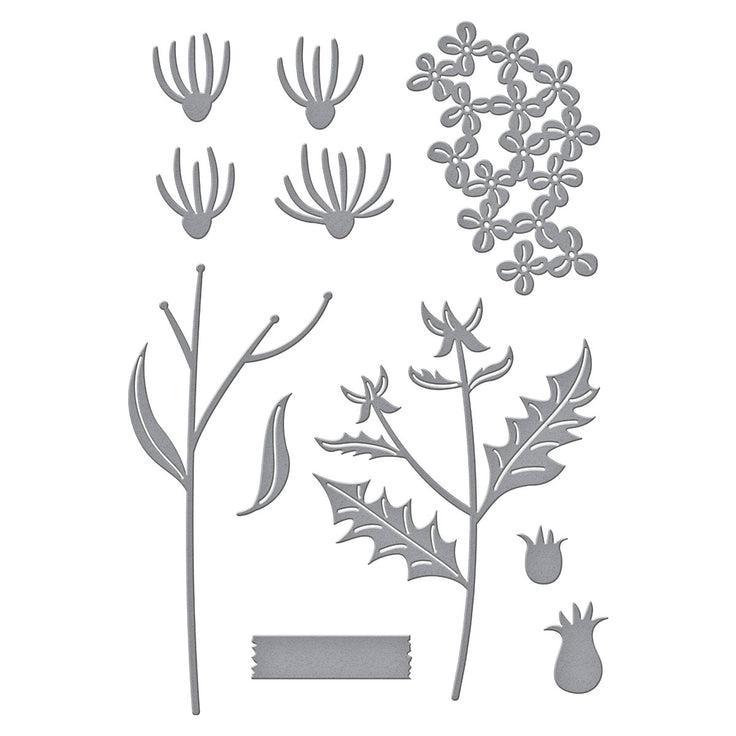 Spellbinders - Field Notes Collection - Dies - Field Notes Wildflowers-ScrapbookPal