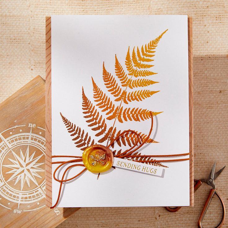 Spellbinders - Field Notes Collection - Press Plates - Lush Ferns-ScrapbookPal