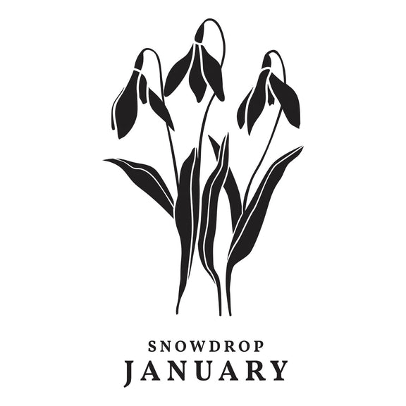 Spellbinders - Florals Through the Year Collection - Press Plates - January Snowdrop-ScrapbookPal