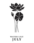 Spellbinders - Florals Through the Year Collection - Press Plates - July Water Lily-ScrapbookPal