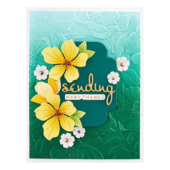 Spellbinders - Four Petal Collection - 3D Embossing Folder - Four Petal Floral-ScrapbookPal