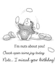 Spellbinders - House-Mouse Party Parade Collection - Cling Stamps - Nuts about You-ScrapbookPal