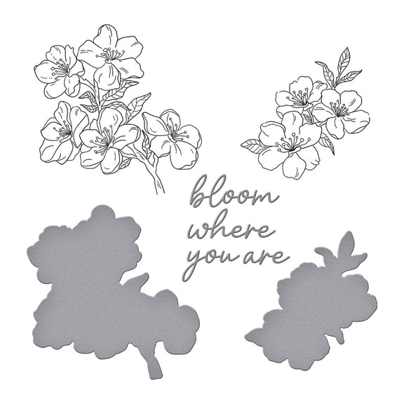 Spellbinders - Spring in Kyoto Collection - Press Plates &amp; Dies - Cherry Blossoms-ScrapbookPal