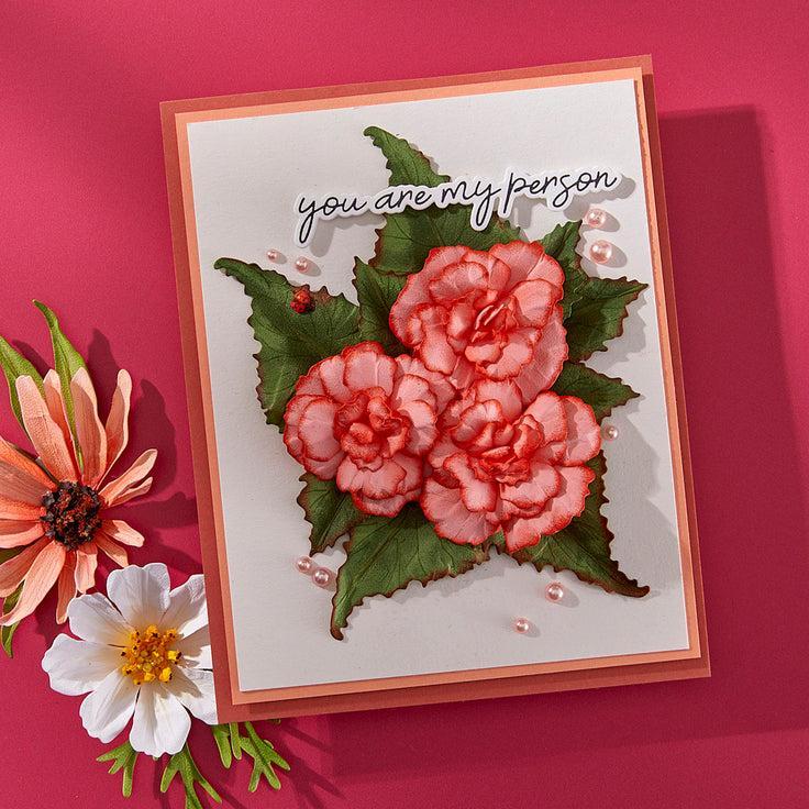 Spellbinders - Summer Solstice Garden Collection - Dies - Begonia and Ladybugs-ScrapbookPal