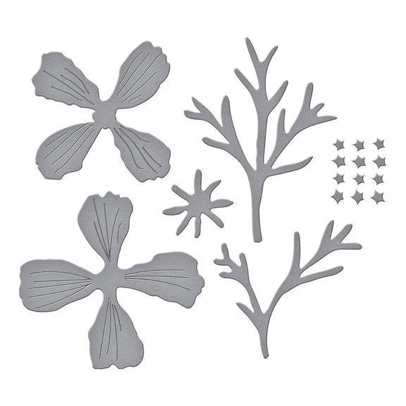 Spellbinders - Summer Solstice Garden Collection - Dies - Cosmos-ScrapbookPal