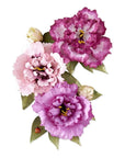 Spellbinders - The Cottage Garden Collection - Dies - Lisianthus-ScrapbookPal
