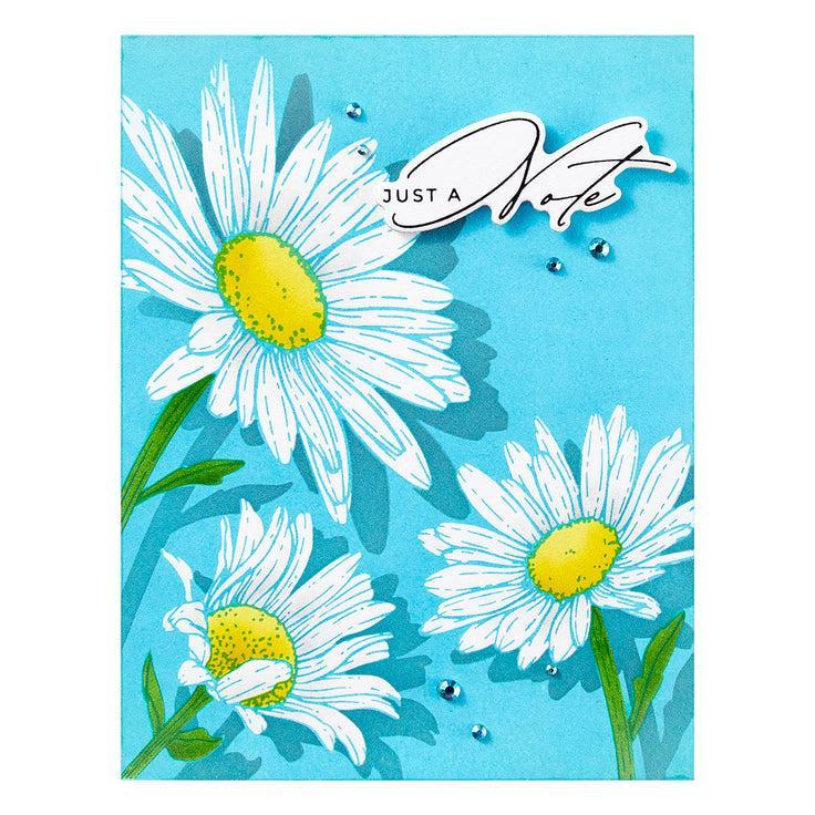 Spellbinders - Yana's Daisies Collection - Press Plates - Daisy Trio-ScrapbookPal