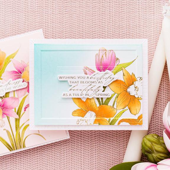 Spellbinders - Yana's Tulips Collection - Letterpress + Foil Plate & Stencils - Tulips and Daffodils-ScrapbookPal