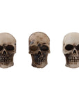Tim Holtz Idea-Ology - Halloween - Skulls and Bones-ScrapbookPal