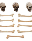 Tim Holtz Idea-Ology - Halloween - Skulls and Bones-ScrapbookPal