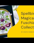 Spellbinders - Magical Fuschia Collection - Letterpress + Foil Plate - Magical Fuchsia